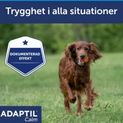 Adaptil Calm Halsband M/L