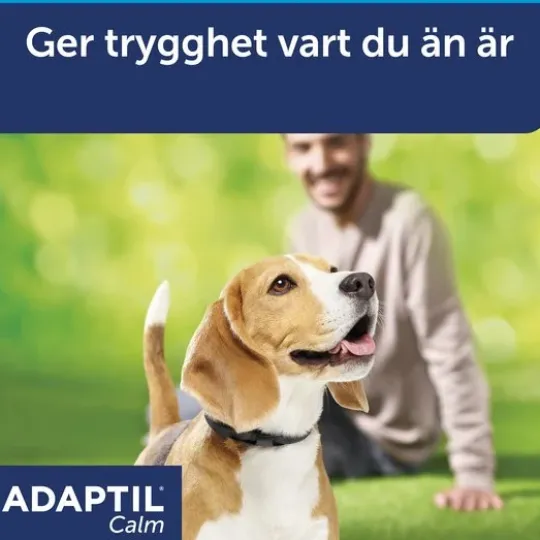 Adaptil Calm Halsband S/M