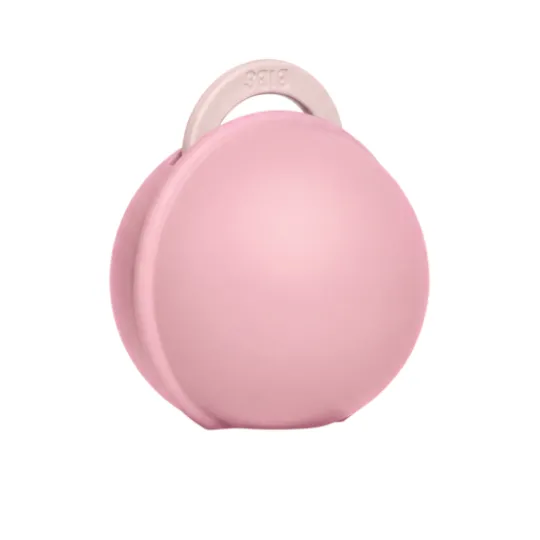 BIBS Colour Pacifier Round Latex Size 1 Petal & Pacifier Case Mini Baby Pink