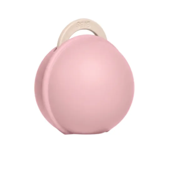 BIBS Colour Pacifier Round Latex Size 2 Petal & Pacifier Case Mini Baby Pink