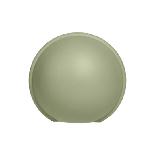 BIBS Pacifier Case Mini Sage