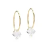 Blomdahl GT Ear Ring 14 mm, Bicone 6 mm Crystal