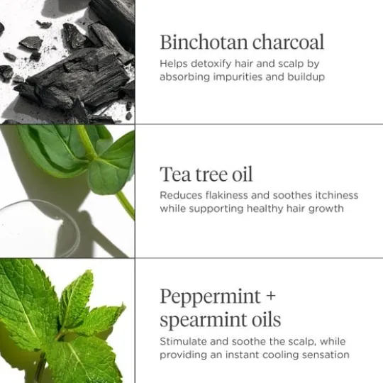 Briogeo Scalp Revival Charcoal + Tea Tree Cooling Hydration Mask 177 ml