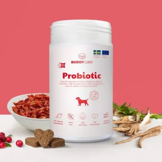 BuddyCare Probiotic 150 g