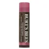 Burt's Bees Tinted Lip Balm Hibiscus 4,25 g