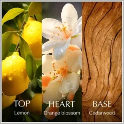 Chanson d'Eau Lemon EdT 100 ml