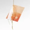 Dr.Ceuracle Vegan Kombucha Tea Essence In Gel Mask 36 g