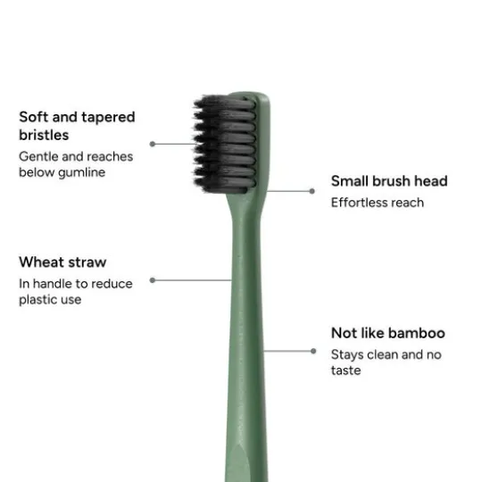 Etinour Essential Toothbrush