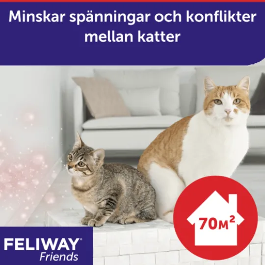 Feliway Friends Refill 3-pack