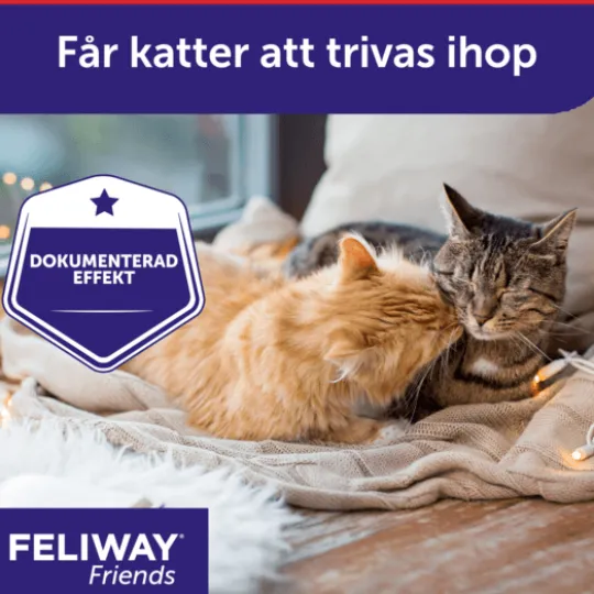 Feliway Friends Refill 3-pack