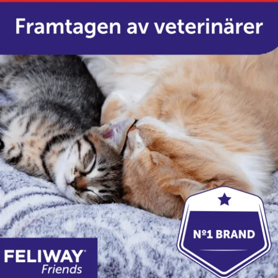 Feliway Friends Refill 3-pack