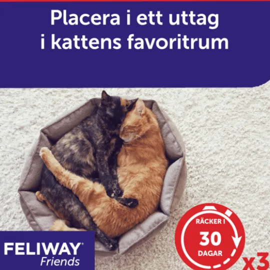 Feliway Friends Refill 3-pack