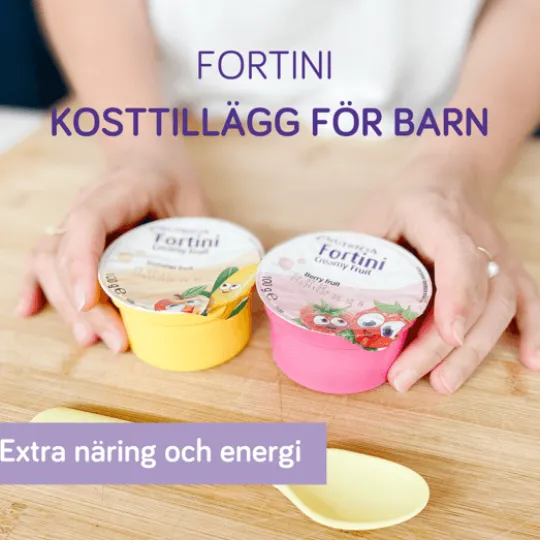 Fortini Creamy Fruit Sommar 4 x 100 g