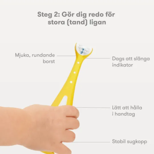 Frida Baby Väx-med-mig tandborstträningsset