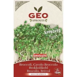 GEO Broccolifrö EKO 13 g