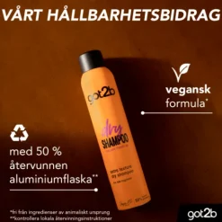 Got2b Dry Schampoo Extra Texure 200 ml