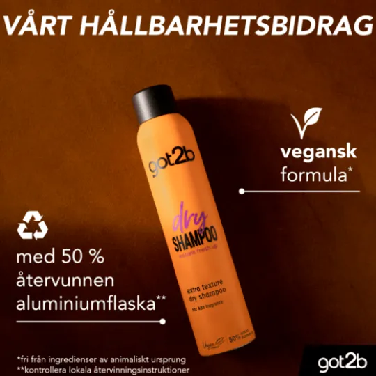 Got2b Dry Schampoo Extra Texure 200 ml