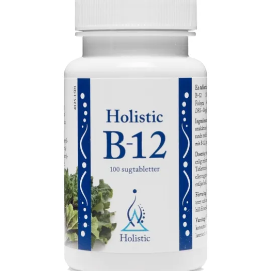 Holistic B-12 Folsyra 90 tabletter