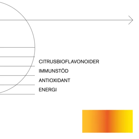 Holistic C-vitamin Bioflav 90 kapslar