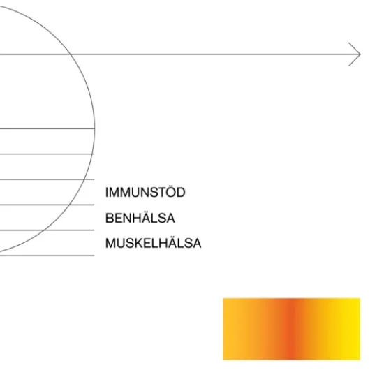 Holistic D-vitamin 2000 90 kapslar