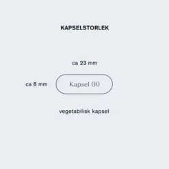 Holistic Femme Detox 60 kapslar