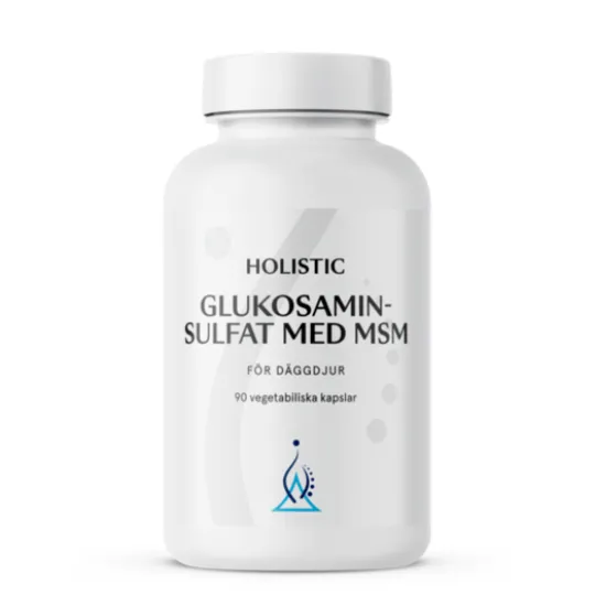 Holistic Glukosaminsulfat med MSM 90 kapslar