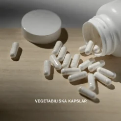 Holistic Lactovitalis Daily 30 kapslar