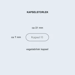 Holistic Lion's Mane 60 kapslar