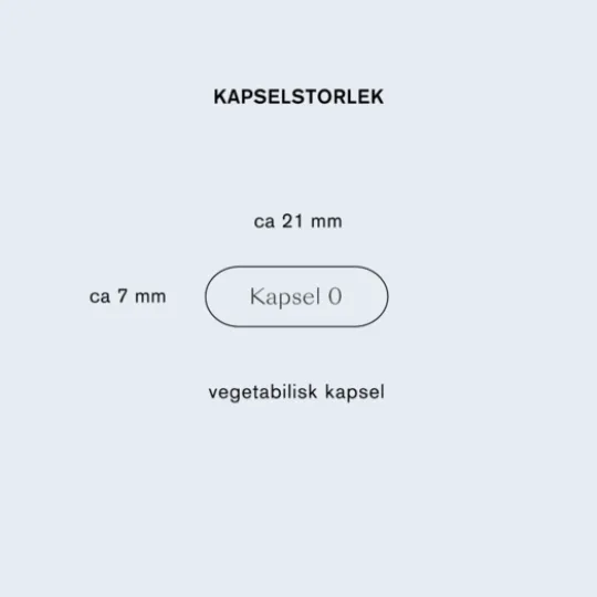 Holistic Lion's Mane 60 kapslar