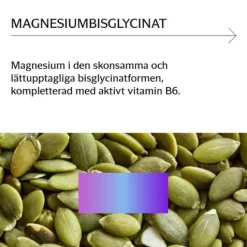 Holistic Magnesiumbisglycinat 100 mg 90 kapslar