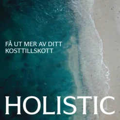 Holistic Magnesiumbisglycinat 100 mg 90 kapslar