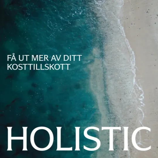 Holistic Magnesiumbisglycinat 100 mg 90 kapslar