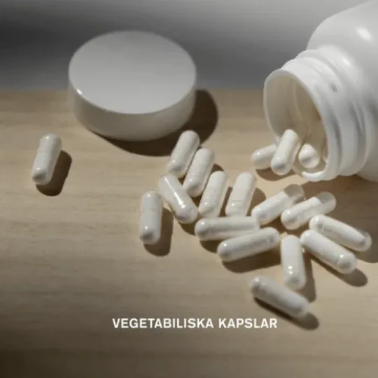 Holistic Mega B-komplex 90 kapslar