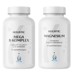 Holistic Mega B-komplex + Magnesium Energistack