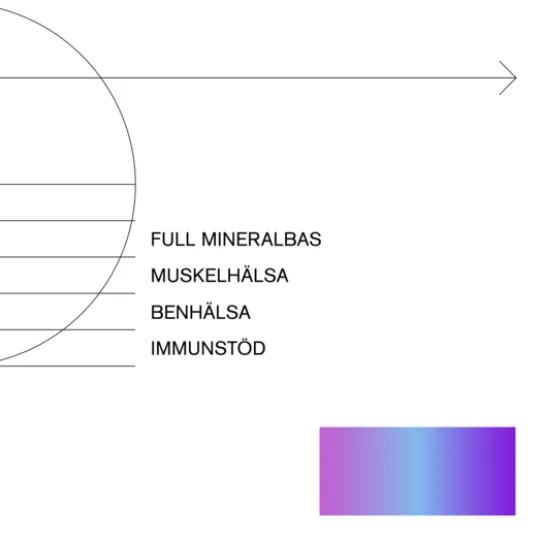 Holistic MultiMineral 90 kapslar