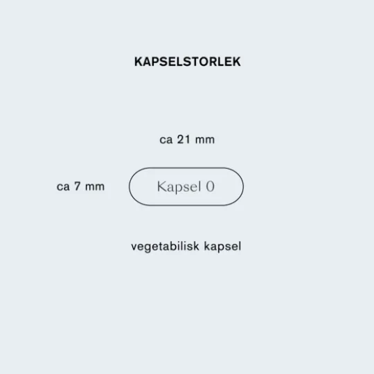 Holistic NAD+ 30 kapslar