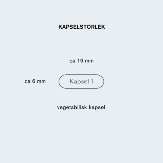 Holistic Selen 200 mcg 90 kapslar