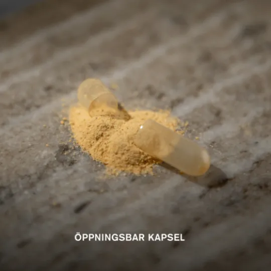 Holistic Selen 200 mcg 90 kapslar