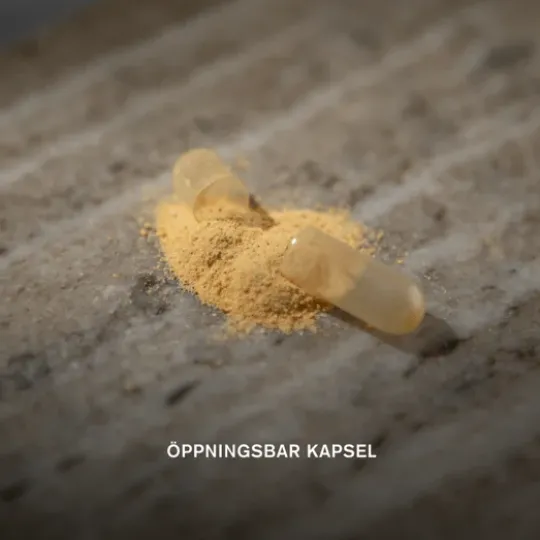 Holistic Sharp Mind 60 kapslar