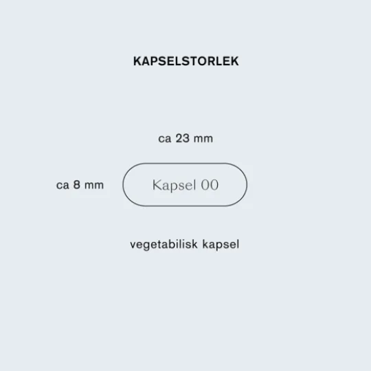 Holistic Sharp Mind 60 kapslar