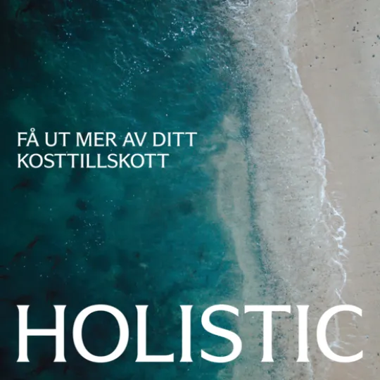 Holistic Zink 25 mg 90 kapslar