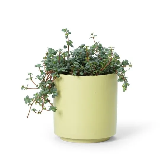 In Flore Estrid Doftljus Citrus Mist 465 g