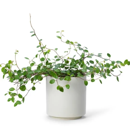In Flore Estrid Doftljus Foggy Vanilla 465 g