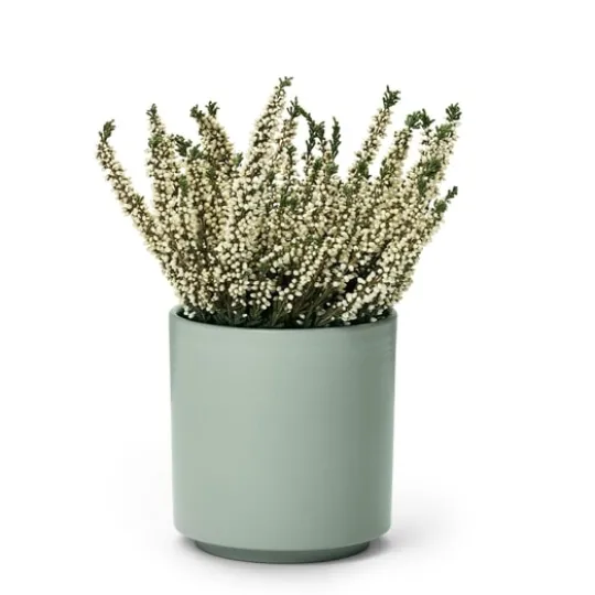 In Flore Estrid Doftljus Roble Wood 465 g