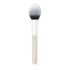 IsaDora The Blusher Brush 1 st