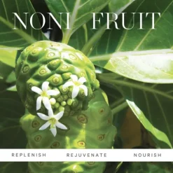 KORA Organics Noni Glow Face Oil 30 ml