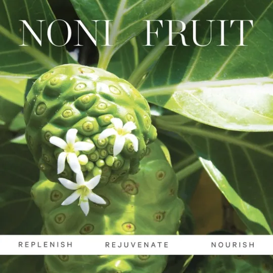 KORA Organics Noni Glow Face Oil 30 ml