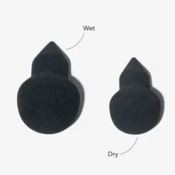 LH cosmetics The Sponge