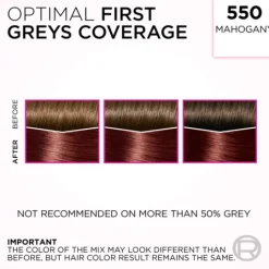 L'Oréal Paris Casting Crème Gloss Semi-Permanent Hårfärg 300 Darkest Browm