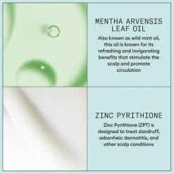 Nioxin Scalp Recovery Scalp Treatment 100 ml